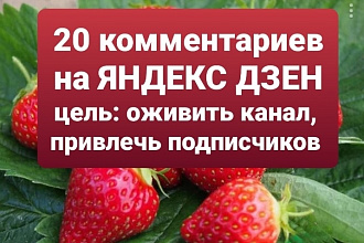 Напишу 20 интересных комментариев на Яндекс Дзен