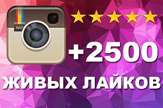 +2500 живых лайков на фото Instagram