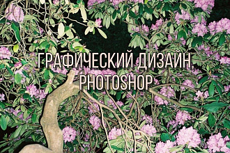 Нарисую иллюстрацию, отредактирую фотографию