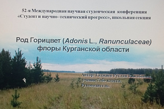 Создание презентации любой сложности