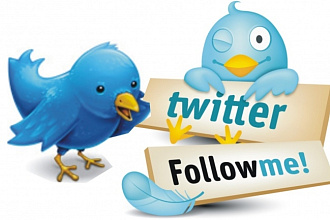 1600 подписчиков в ваш аккаунт Twitter