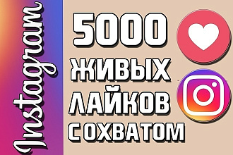 Инстаграм лайки