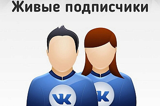 Наполню вашу группу в ВК живыми подписчиками