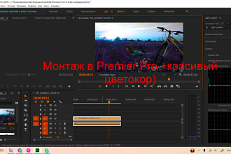 Хороший монтаж видео в Adobe Premier Pro