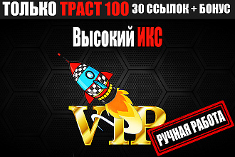 Vip пакет, 30 трастовых ссылок 100 + бонус