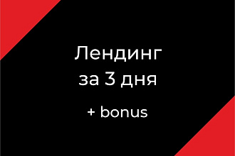 Потрясающий Landing Page под ключ на Tilda + бонус