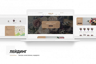 Создам для вас Лейдинг пейдж