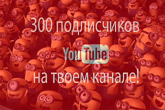 300 человек подписчиков на твоем канале youtube