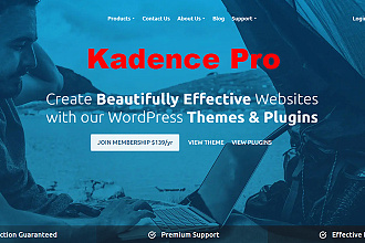 Установка лицензионной темы Kadence Pro