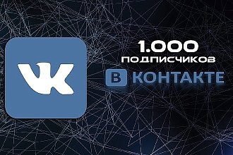 Раскрутка 1000 подписчиков