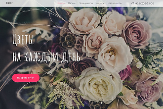 Дизайн сайта, Landing Page