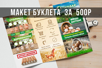 Создам макет буклета
