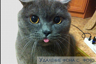 Удаление фона с фотографии