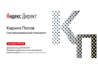 Профессиональная настройка Директа от сертифицированного специалиста