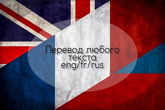 Любой перевод с или на английский, французский языки