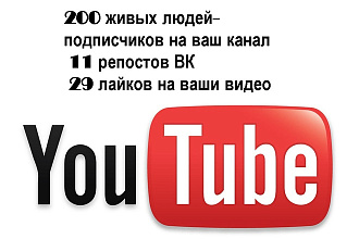 200 реальных подписчиков на YouTube + 29 лайков и 11 репостов ВК