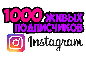 1000 + подписчиков на профиль в Instagram