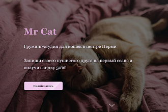 Создам лендинг на Tilda Publishing