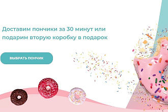 Создам Landing page на платформе Tilda