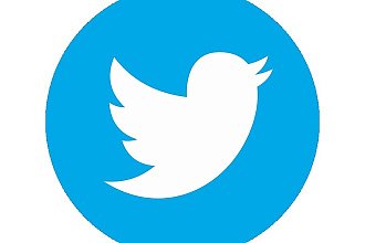 250 подписчиков twitter