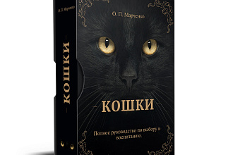 Выполню заказ на создание 3D обложек книг, коробок, DVD и CD дисков