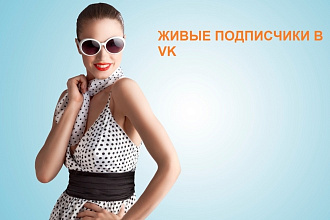 Привлеку живых подписчиков в VK,OK с помощью рекламы
