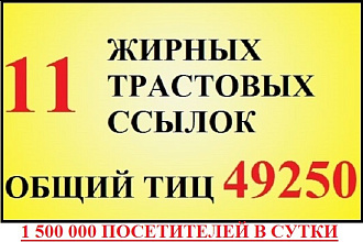 11 трастовых жирных вечных ссылок. 49250 Общий ТИЦ + бонус