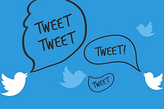 Сбор целевой аудитории Twitter