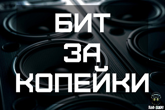 Сделаю БИТ. Дешево и круто