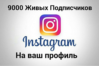 Добавлю 9000 живых подписчиков на ваш Instagram профиль