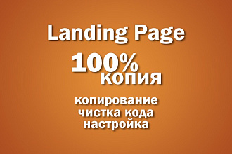 Сделаю 100% копию Landing Page и адаптирую под Вас