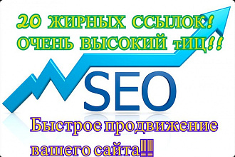 20 вечных ссылок, суммарный ТИЦ выше 41000