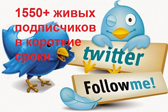 1600 подписчиков на ваш аккаунт Twitter