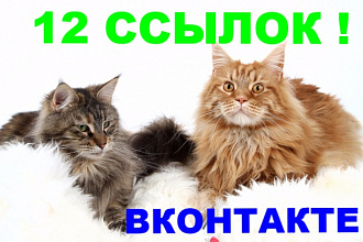 12 Ссылок на ваш ресурс из сайта вконтакте, оставленные в тематических группах