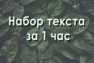 Напишу текст-субтитры с аудио, видео, изображений и документов