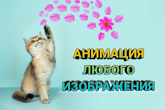 Анимация изображений