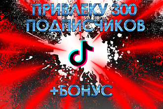 Привлеку 300 подписчиков в TikTok