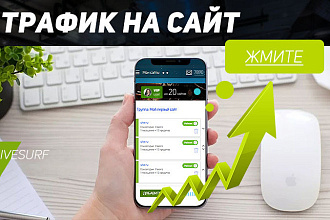 Трафик на сайт - 1000 посетителей за денй
