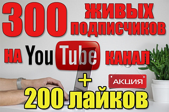 300 подписчиков на Youtube канал