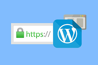 Правильный переезд сайта WordPress на HTTPS с сохранением трафика