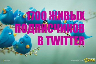 1700 подписчиков в twitter