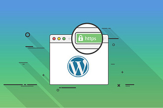 Переведу ваш сайт на SSL сертификат на WordPress