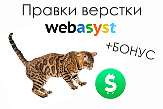 Правка верстки тем и адаптации под мобильные Webasyst Shop-Script