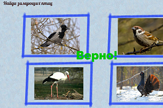Сделаю игру-викторину