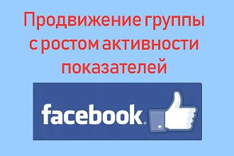 Продвижение группы в Facebook заказать - Рост показателей активности