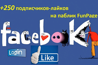 250 подписчиков, лайков на публичную страницу FanPage