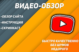 Запишу любой видео-обзор. Скринкасты, инструкции и обзоры сайтов