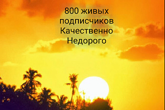 Живые подписчики в Инстаграм, ВК