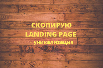 Скопирую Landing Page + уникализация