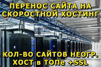 Перенос сайта на скоростной хостинг. Скорость важна для ранжирования